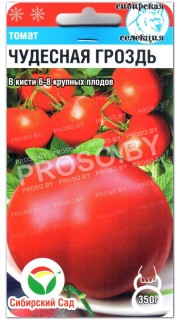 Томат Чудесная гроздь