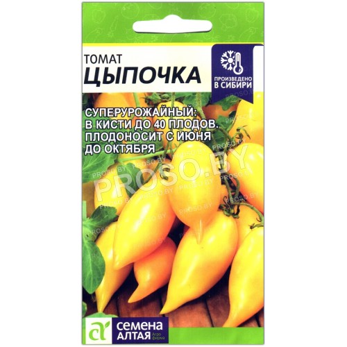 Томат Цыпочка