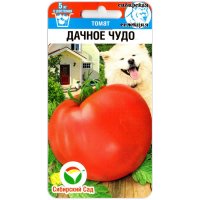 Томат Дачное чудо
