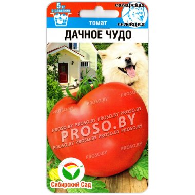 Томат Дачное чудо