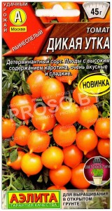 Томат Дикая утка