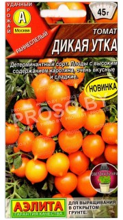 Томат Дикая утка