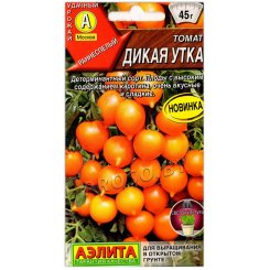 Томат Дикая утка