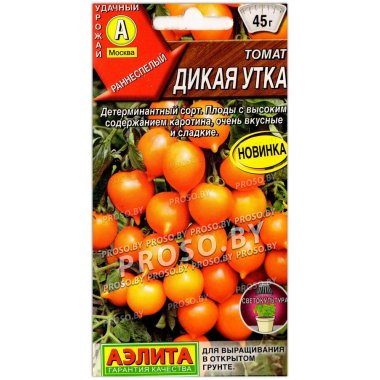 Томат Дикая утка