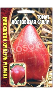 Томат Долговязая Салли