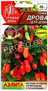 Томат Дрова для дома