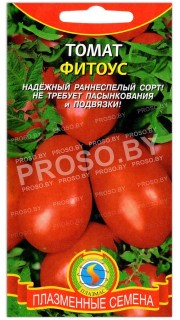 Томат Фитоус