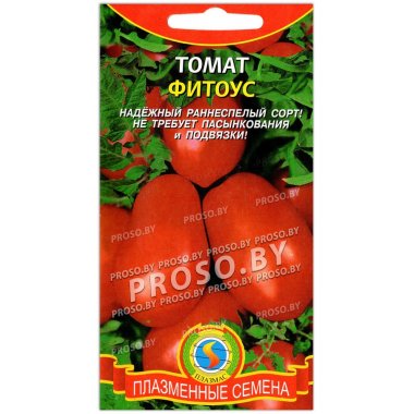 Томат Фитоус