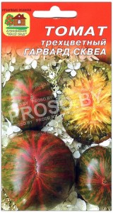 Томат Гарвард сквеа