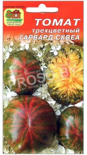 Томат Гарвард сквеа