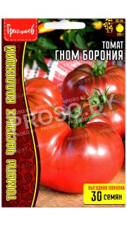 Томат Гном борония