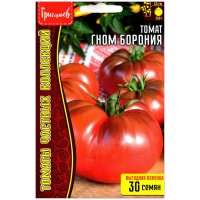 Томат Гном борония