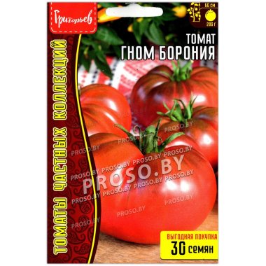 Томат Гном борония