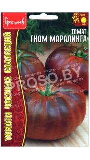 Томат Гном маралинга