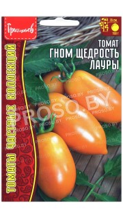 Томат Гном щедрость Лауры
