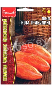Томат Гном трибулине