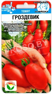 Томат Гроздевик