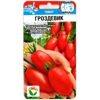 Томат Гроздевик