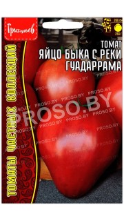 Томат Яйцо быка с реки Гуадаррама