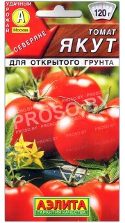 Томат Якут