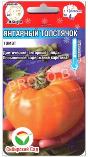 Томат Янтарный толстячок