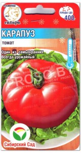 Томат Карапуз
