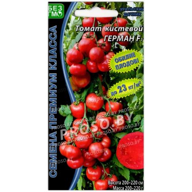 Томат кистевой Герман F1
