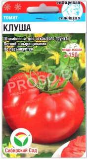 Томат Клуша