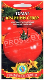 Томат Крайний север