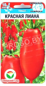 Томат Красная лиана