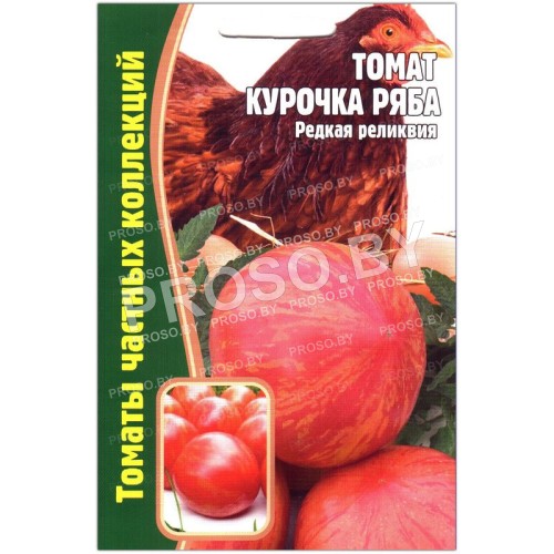 Томат Курочка ряба