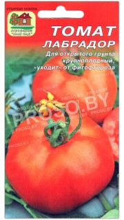 Томат Лабрадор