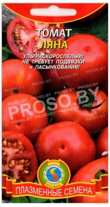 Томат Ляна