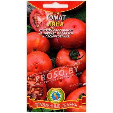 Томат Ляна