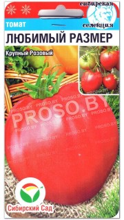 Томат Любимый размер