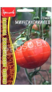 Томат Минусинский лев