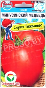 Томат Минусинский медведь