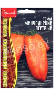 Томат Минусинский пестрый