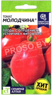 Томат Молодчина