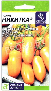 Томат Никитка