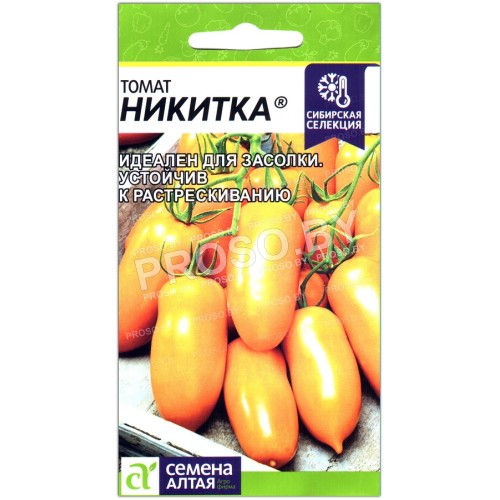 Томат Никитка
