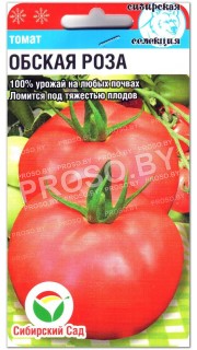 Томат Обская роза