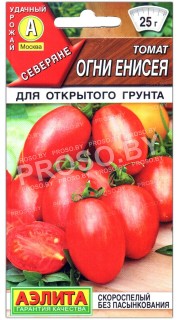 Томат Огни енисея