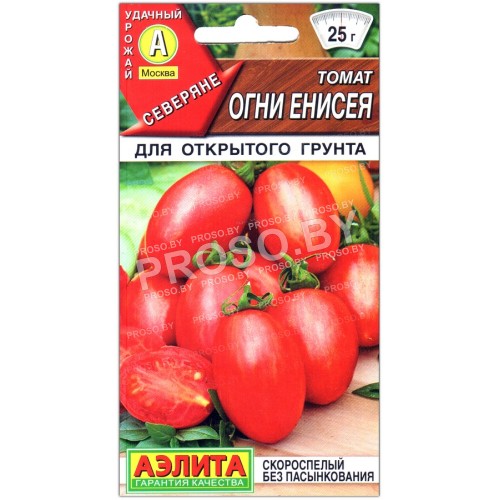 Томат Огни енисея