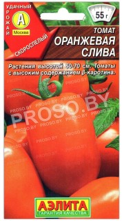 Томат Оранжевая слива
