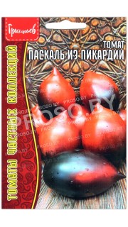 Томат Паскаль из пикардии