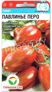Томат Павлинье перо