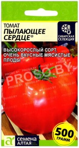 Томат Пылающее сердце