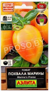 Томат Похвала Марины