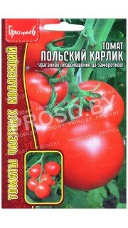 Томат Польский карлик